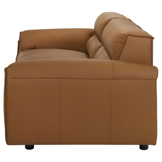 Buxton Sofa — photo 5