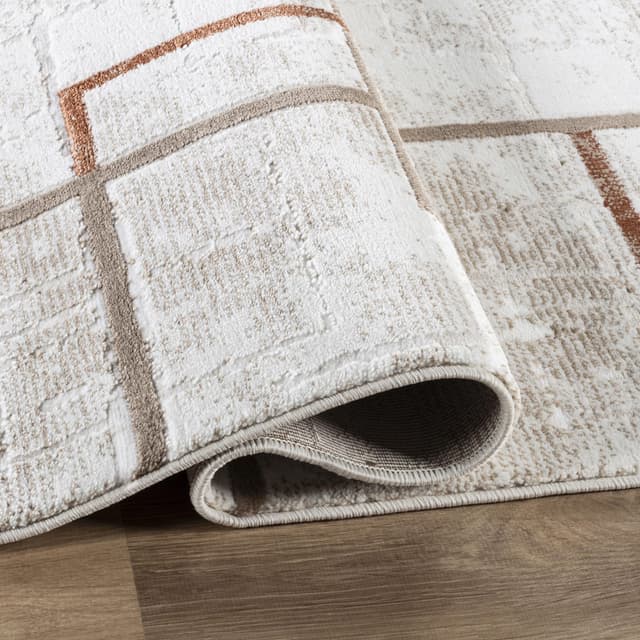 Troy Area Rug 36690 BEIGE ROSE — photo 3