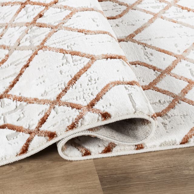 Troy Area Rug 35117 BEIGE ROSE — photo 3
