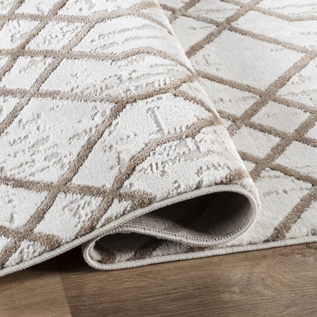 Troy Area Rug 35117 BEIGE BROWN — photo 3