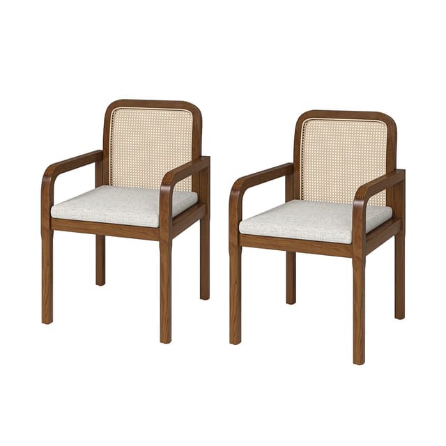 Antoine Ratten Dining Chair Set of 2 — photo 1