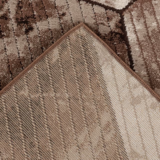 Argon 896 Area Rug D.Beige/Brown — photo 6