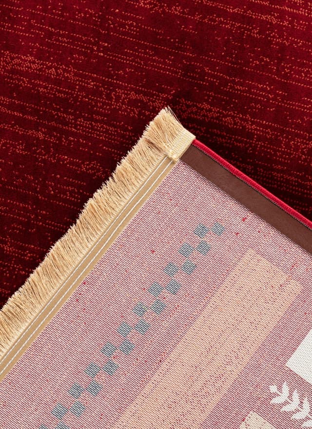 Kandahar B744A Area Rug Red — photo 4