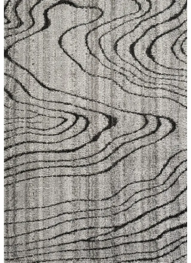 Gala 80226 Black Area Rug — photo 1
