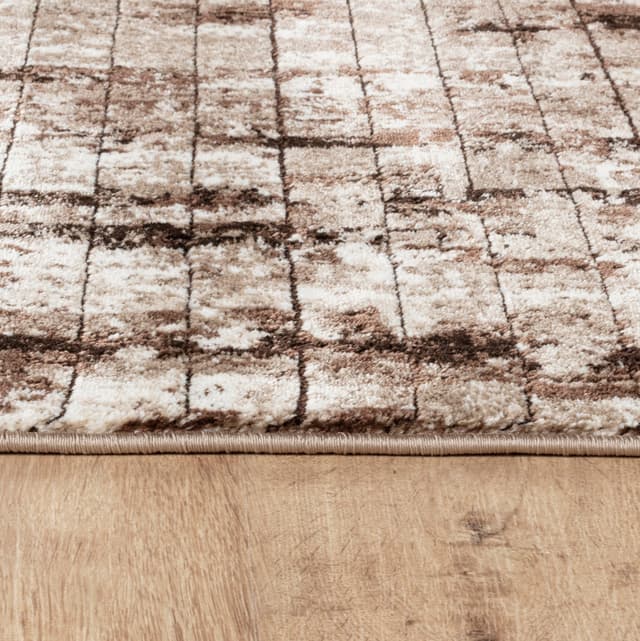 Argon 823 Area Rug D.Beige/D.Beige — photo 4