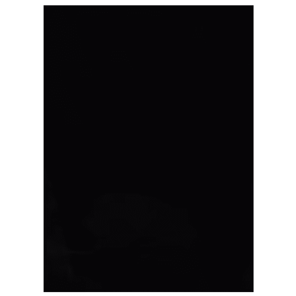 Rabbit Black — photo 1