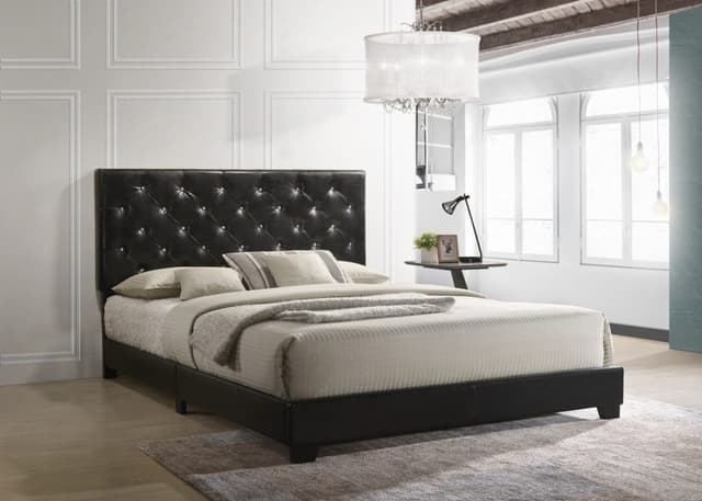 HH2020 - BLACK — photo 1