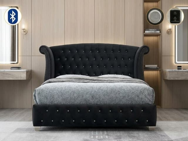 B2030 Divina (Black) — photo 1