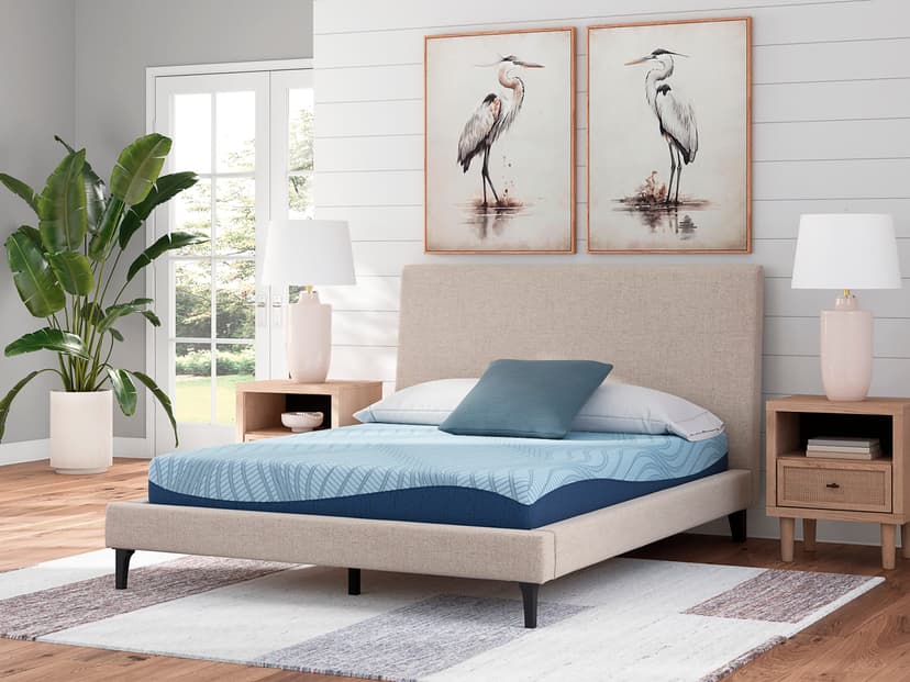 ASM204 Peak Memory Foam 8"