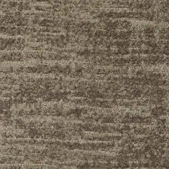 AS91302 Abalone — photo 3